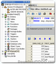 Insight Developer for Oracle screenshot